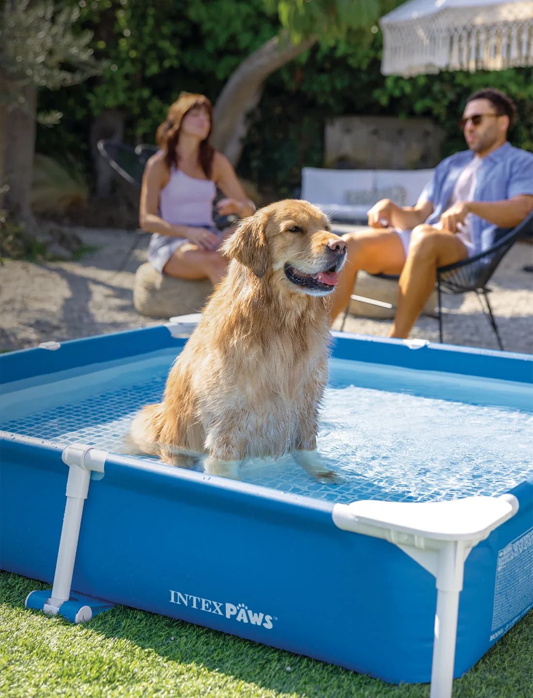 Animalerie INTEX - piscines et paniers pour animaux